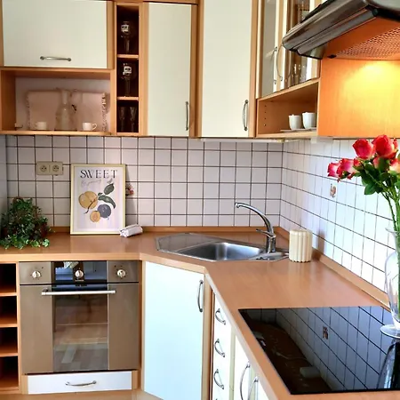 Vintage V Ruzinove 아파트 *